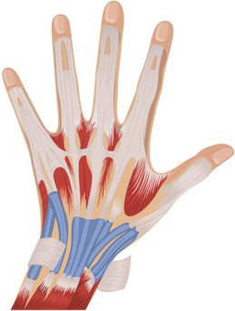 Arthroscopic Wrist Replacement by OrangeCountySurgeons